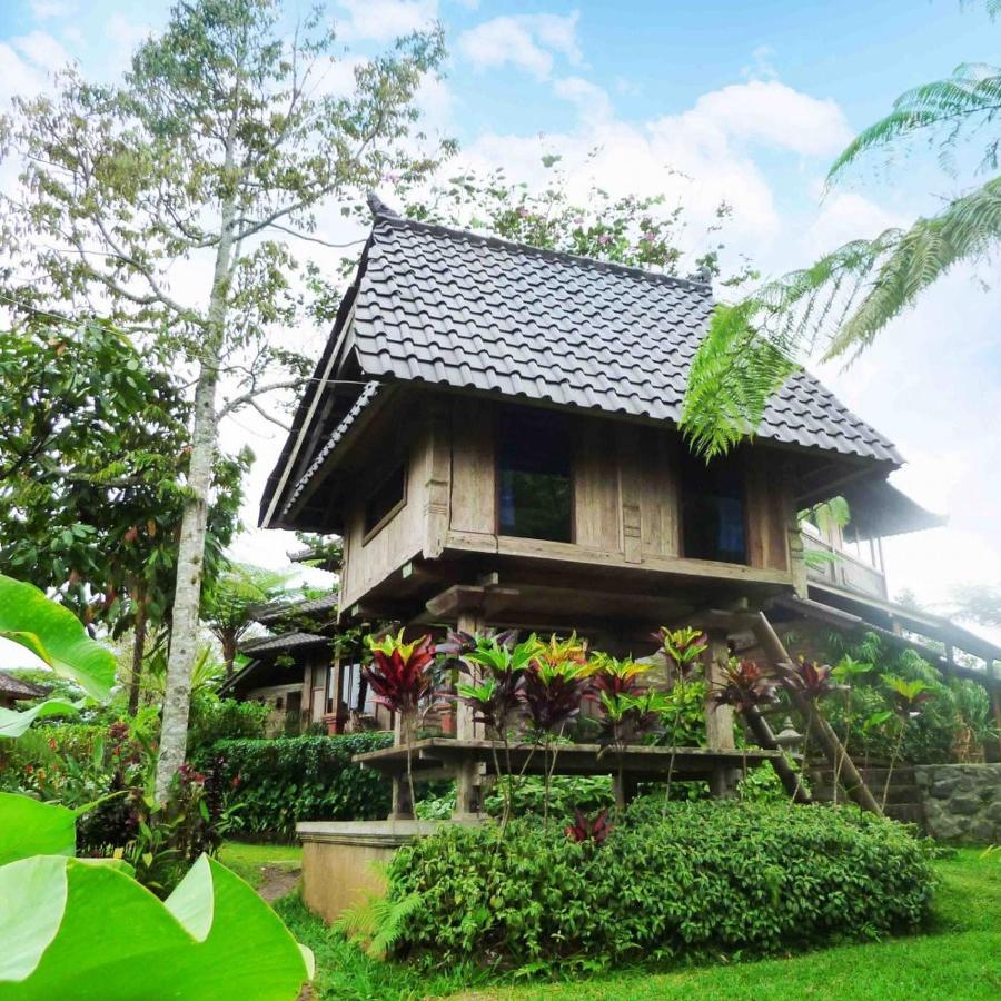 Bali Mountain Retreat Villa Selemadeg  ภายนอก รูปภาพ