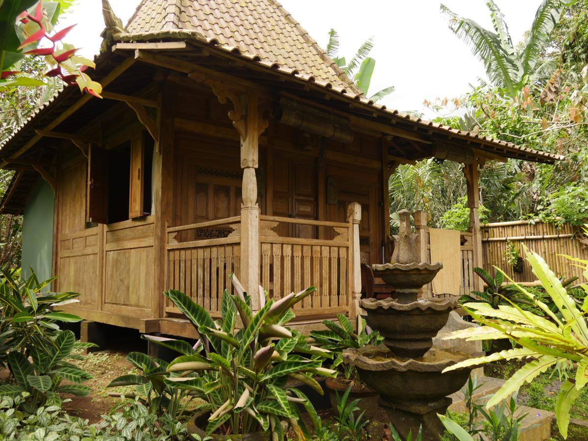 Bali Mountain Retreat Villa Selemadeg  ภายนอก รูปภาพ