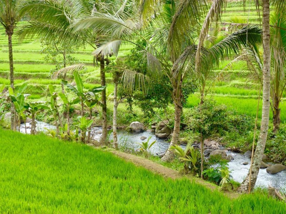 Bali Mountain Retreat Villa Selemadeg  ภายนอก รูปภาพ