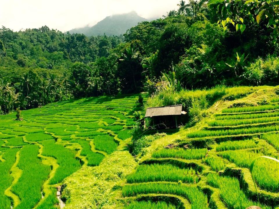 Bali Mountain Retreat Villa Selemadeg  ภายนอก รูปภาพ
