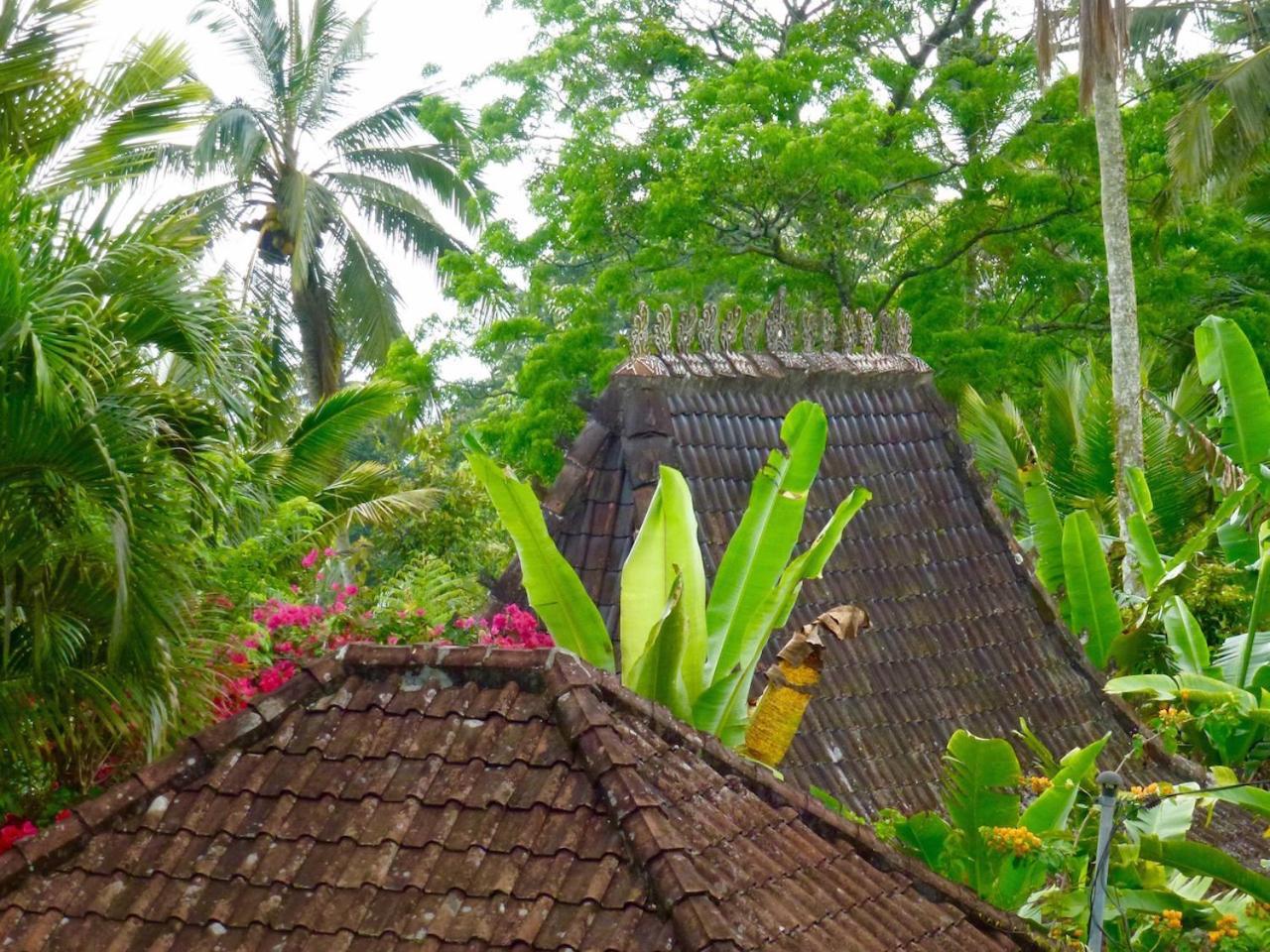 Bali Mountain Retreat Villa Selemadeg  ภายนอก รูปภาพ