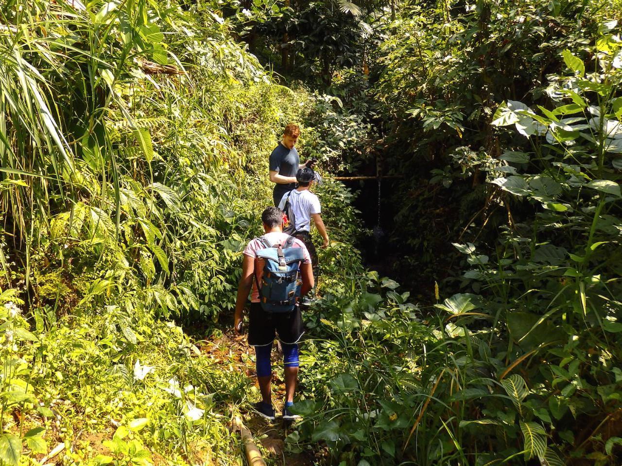 Bali Mountain Retreat Villa Selemadeg  ภายนอก รูปภาพ