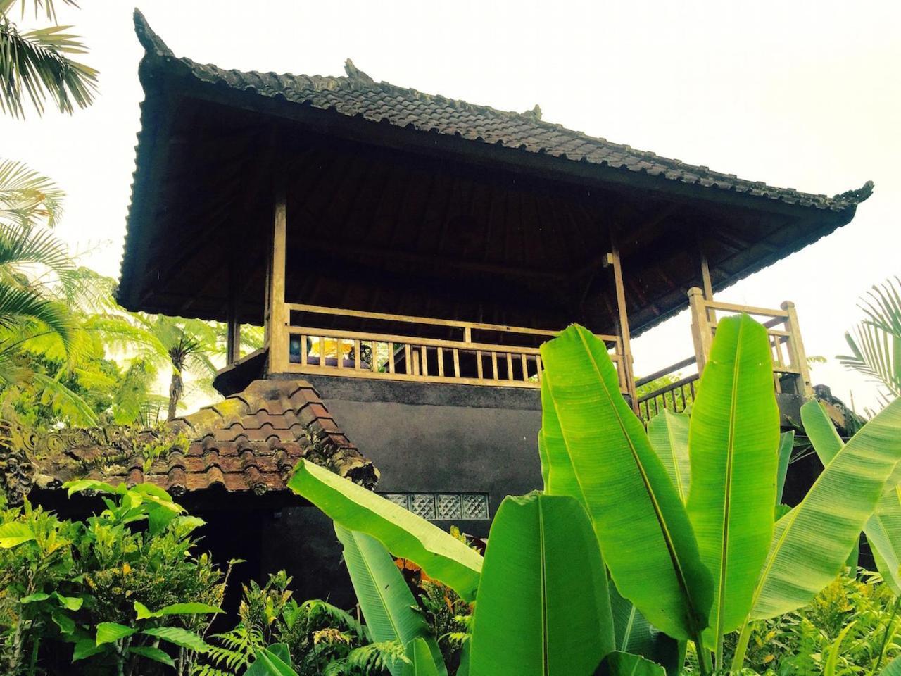 Bali Mountain Retreat Villa Selemadeg  ภายนอก รูปภาพ